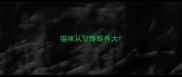 猫咪从没睁眼养大