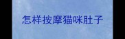 怎样按摩猫咪肚子
