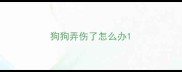 狗狗弄伤了怎么办