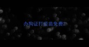 办狗证打疫苗免费