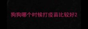狗狗哪个时候打疫苗比较好
