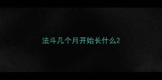 法斗几个月开始长什么