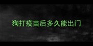 狗打疫苗后多久能出门