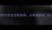 领养拉布拉多全流程指南从申请到家门的注意事项