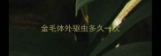 金毛体外驱虫多久一次