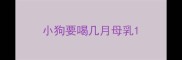 小狗要喝几月母乳
