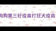狗狗第三针疫苗打狂犬疫苗