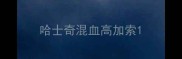 哈士奇混血高加索