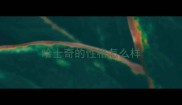 哈士奇的性格怎么样