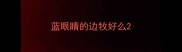 蓝眼睛的边牧好么