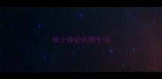 哈士奇幼犬喂生肉