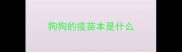 狗狗的疫苗本是什么
