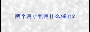 两个月小狗用什么催吐