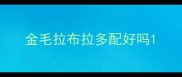 金毛拉布拉多配好吗