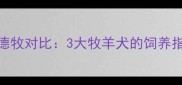 苏牧vs边牧vs德牧对比3大牧羊犬的饲养指南与选犬建议