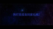 狗打完疫苗回家拉稀