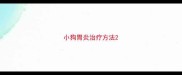 小狗胃炎治疗方法