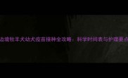 边境牧羊犬幼犬疫苗接种全攻略科学时间表与护理要点