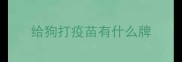给狗打疫苗有什么牌