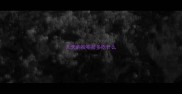 几天的拉布拉多吃什么