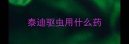 泰迪驱虫用什么药