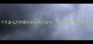 五个月金毛犬体重标准及喂养指南如何科学判断幼犬健康