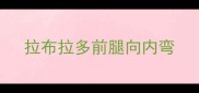 拉布拉多前腿向内弯