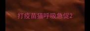 打疫苗猫呼吸急促
