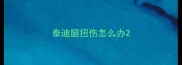 泰迪腿扭伤怎么办