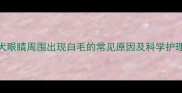 泰迪犬眼睛周围出现白毛的常见原因及科学护理指南
