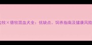 边牧德牧混血犬全优缺点饲养指南及健康风险