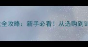 黄白相间边牧幼犬全攻略新手必看从选购到训练的保姆级指南