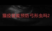 猫疫苗能预防弓形虫吗