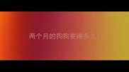 两个月的狗狗要睡多久