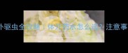 两个月大幼猫体外驱虫全攻略体外药水怎么选注意事项看这篇就够