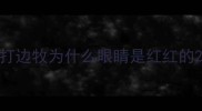 打边牧为什么眼睛是红红的