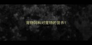宠物饲料对宠物的营养