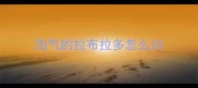 淘气的拉布拉多怎么训