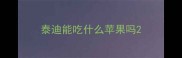 泰迪能吃什么苹果吗
