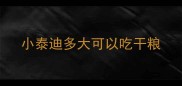 小泰迪多大可以吃干粮