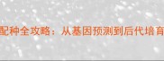 红泰迪灰泰迪配种全攻略从基因预测到后代培育的6大关键步骤