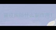 猫疫苗防什么副作用