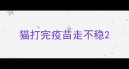 猫打完疫苗走不稳