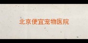 北京便宜宠物医院