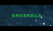 拉布拉多热怎么办