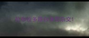 拉布拉多跟白贵宾杂交