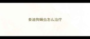 泰迪狗螨虫怎么治疗