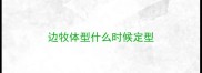 边牧体型什么时候定型