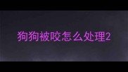 狗狗被咬怎么处理