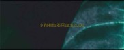 小狗有结石尿血怎么办